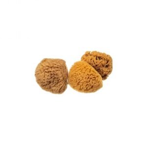 Mořská houbička hedvábná mini, nebělená EatGreen 3ks