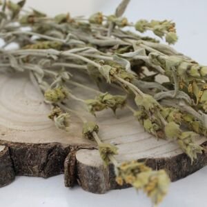 Mursalský čaj, Hojník horský -  - nať - Sideritis scardica - Herba sideritis scardica 1000 g