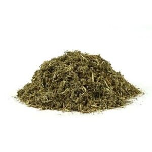 Pelyněk pontický - nať nařezaná - Artemisia pontica - Absinthii pontici herba 50 g