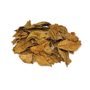 Ořešák královský, vlašský ořech - list celý - Juglans regia - Folium juglandis 1000 g