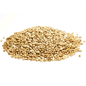 Konopí seté (technické) - semeno - Cannabis sativa - Cannabis semen 50 g